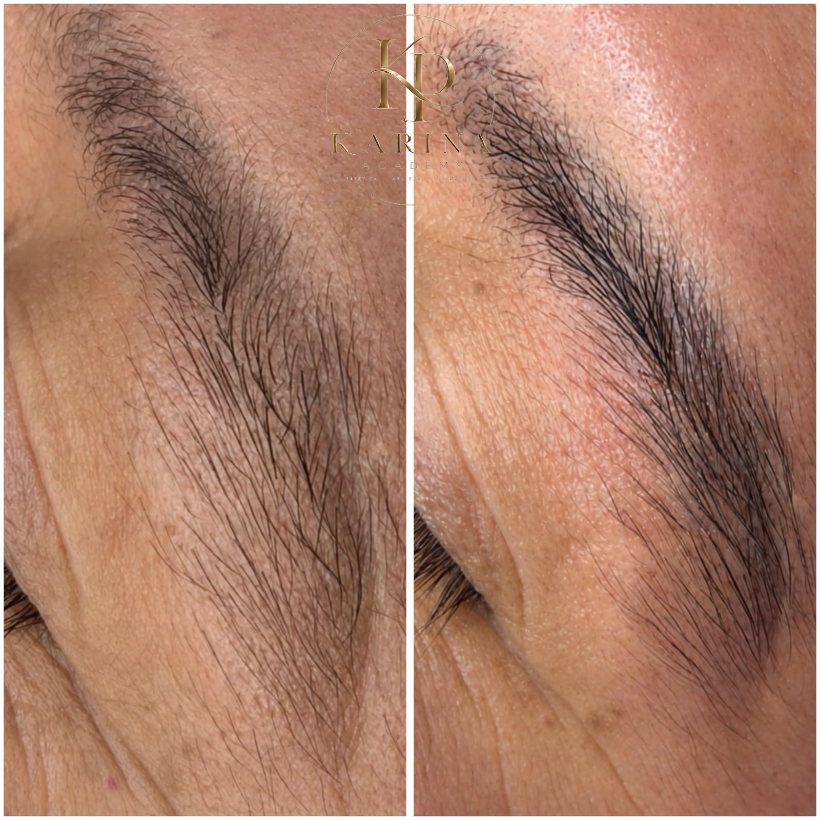 fiber brow 360